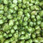 Hobbybrauertreffen - die Mittelruhries treffen sich am 6.4. um 18:00 Uhr