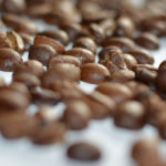 Coffea lautet der botanische Name aus der Familie der enzigaartigen Rötegewächse